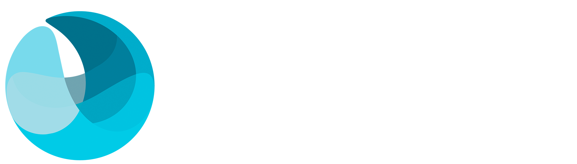 BAM Brasil